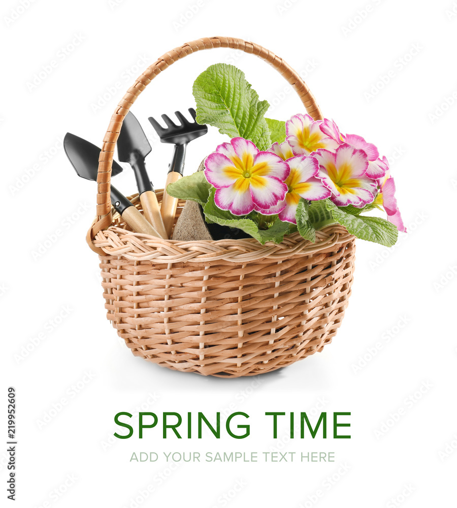 Wicker basket with flowers and gardening tools on white background