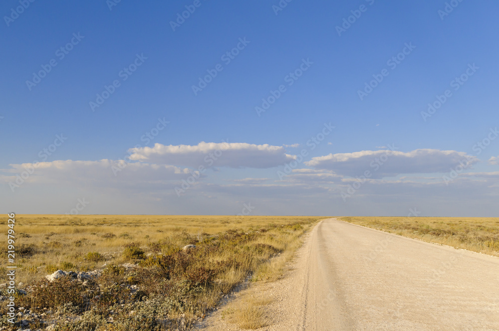 African savannah landscape with straight road / African savanna landscape with straight road to the 