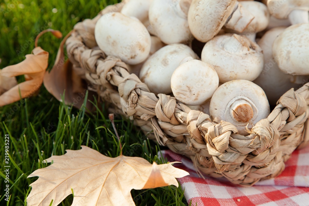 绿草上篮子里的Champignons Mushrooms