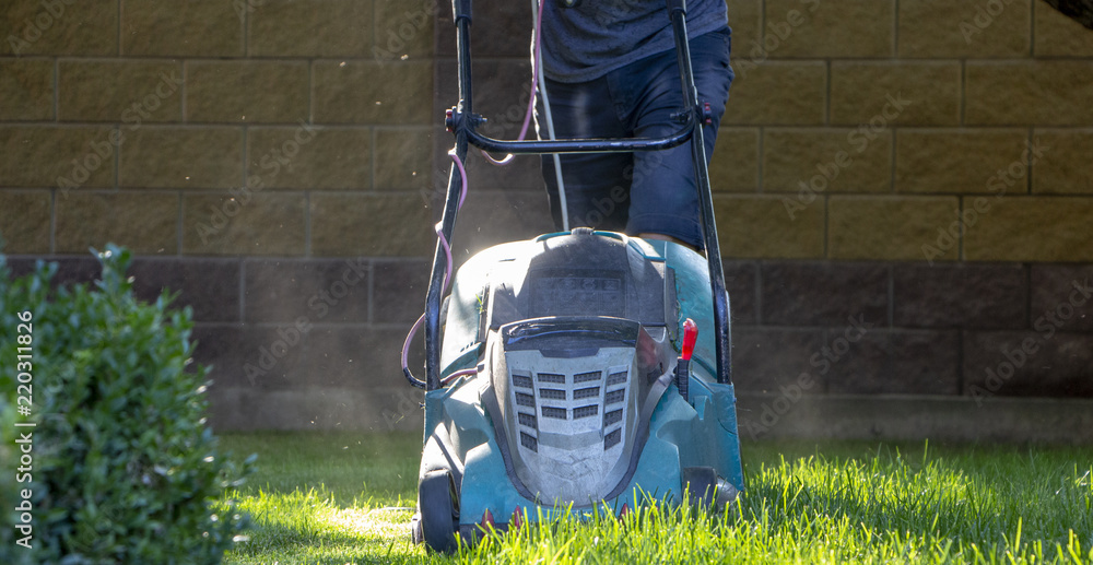 Lawn mower cutting green grass in backyard