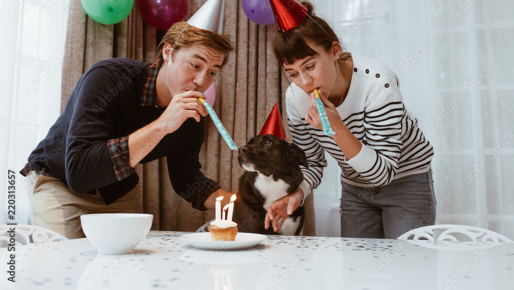 情侣为宠物庆祝生日