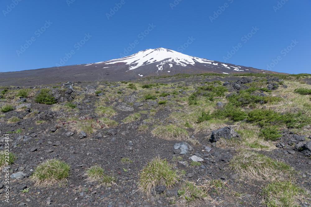 富士山之巅，雪与春天的富士山自然休闲林径