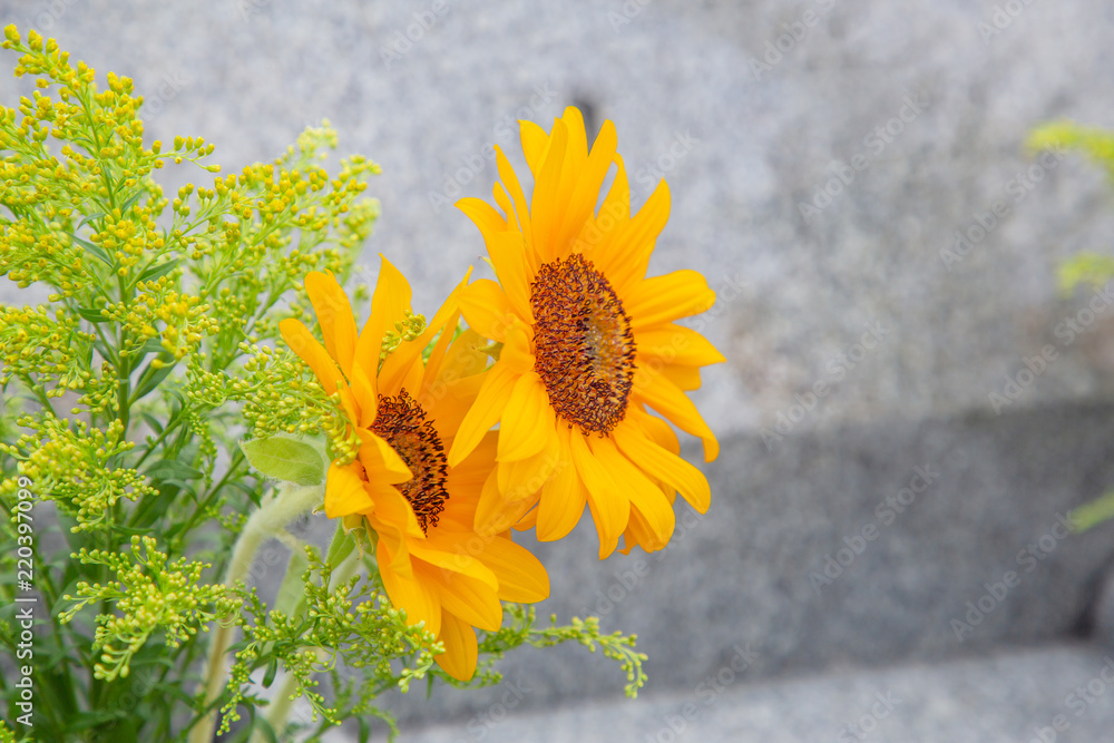 霊園の墓石と花