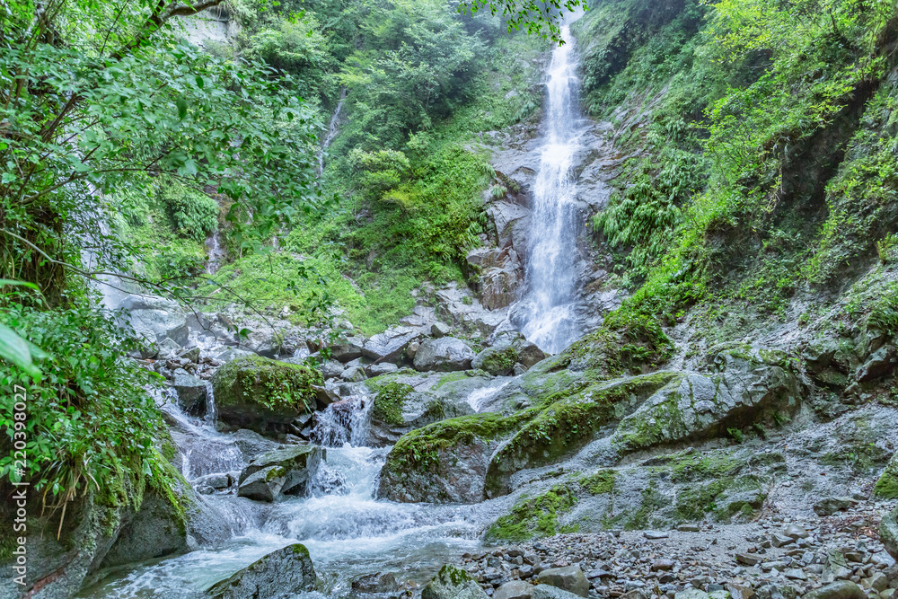 西丹沢　本棚の滝