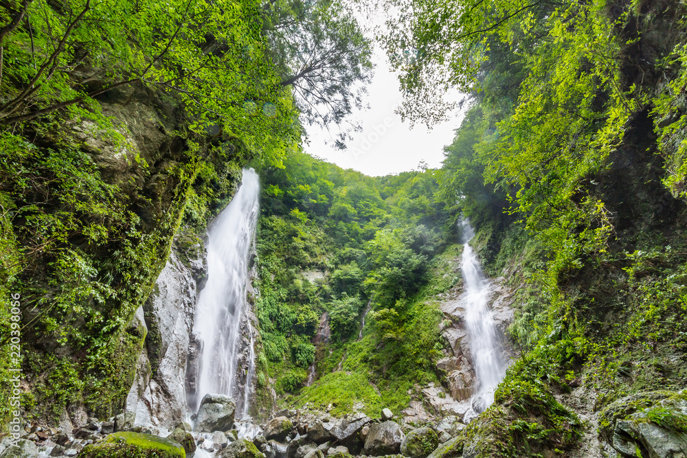 西丹沢　本棚の滝