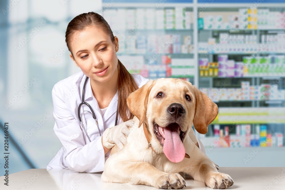 Beautiful young veterinarian with a dog on a white background