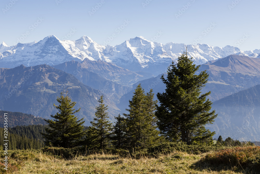 与Eiger，Moench在瑞士伯尔尼高地Niederhorn的秋季高山景观