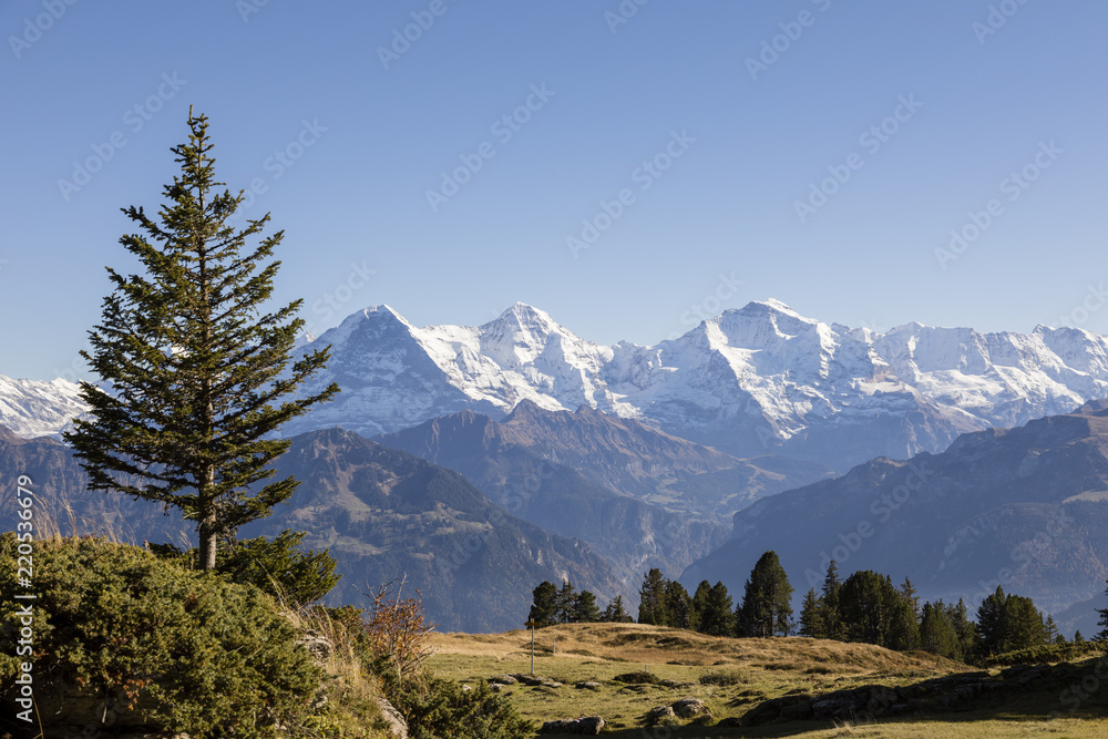 与Eiger，Moench一起，瑞士伯尔尼高地Niederhorn的秋季高山景观