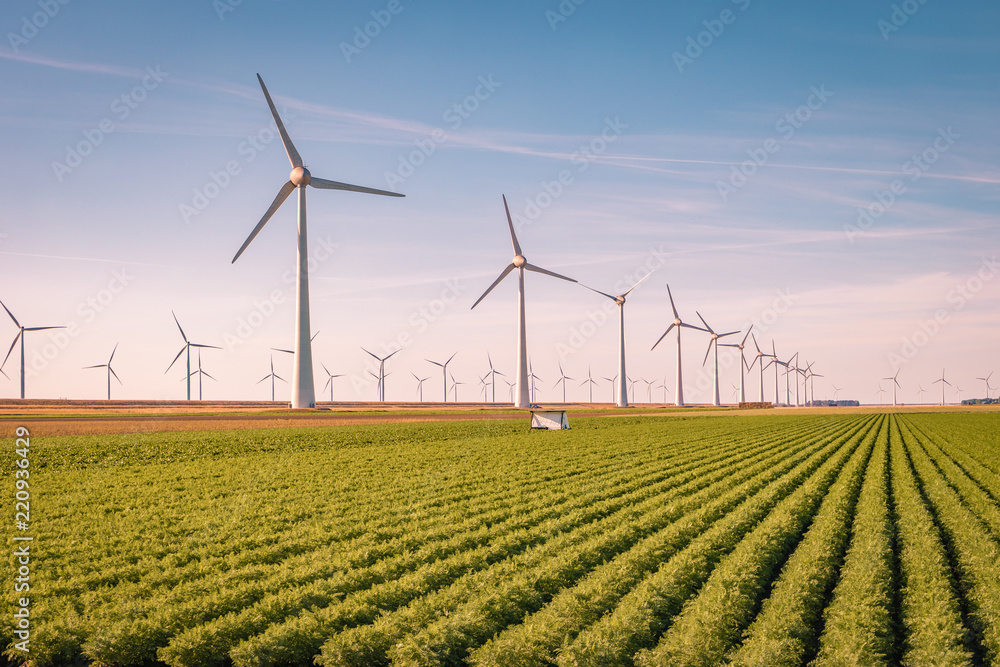 Offshore Windmill farm in the ocean  Westermeerwind park , windmills isolated at sea on a beautiful 