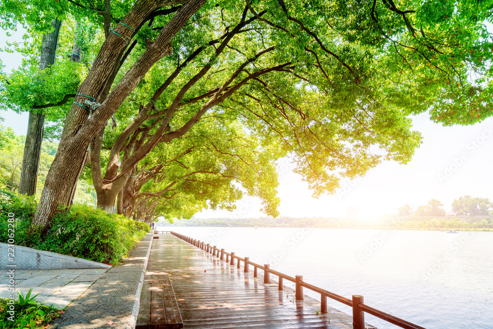 Wooden path by the lake