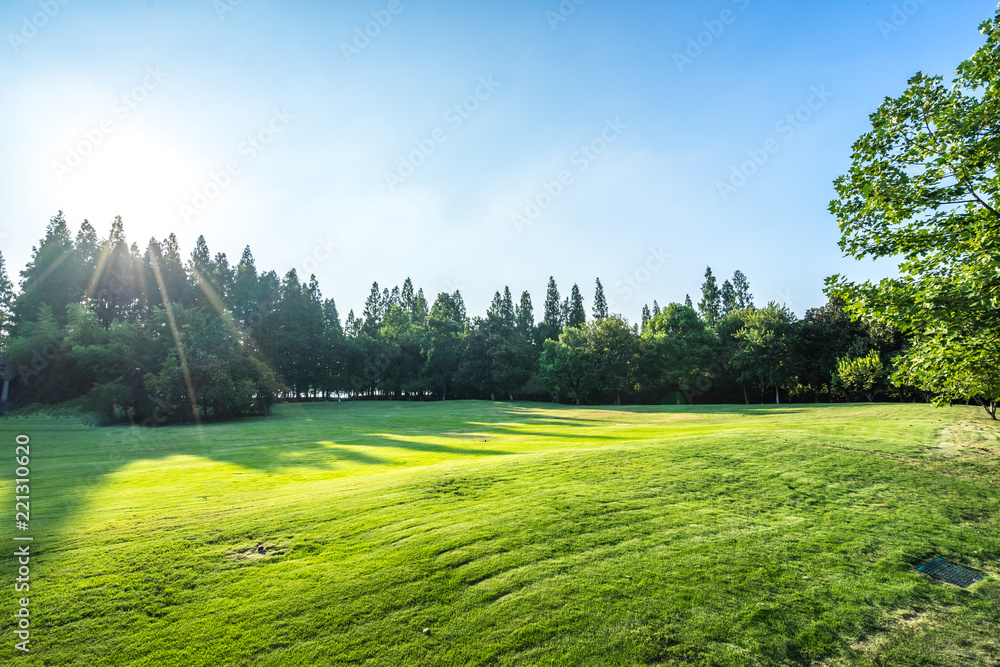 green lawn with city skyline