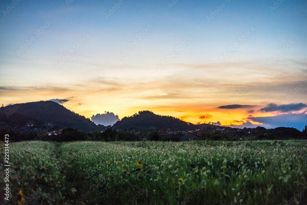 中国杭州西湖景观