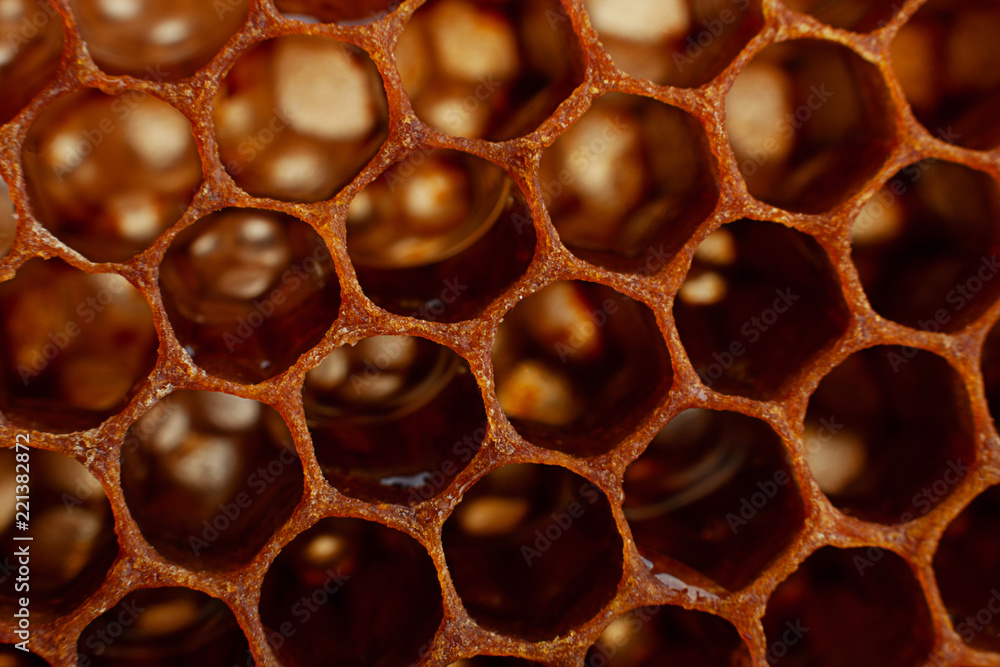 Yellow Honeycomb closeup background