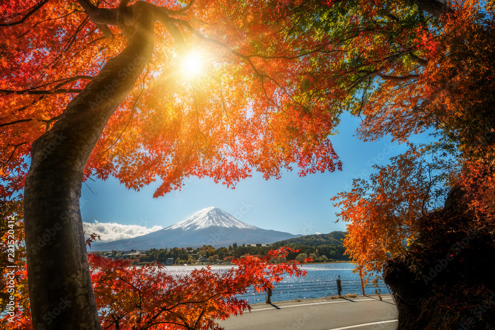 日本秋色富士山