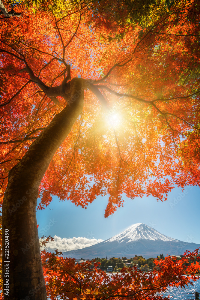 日本秋色富士山