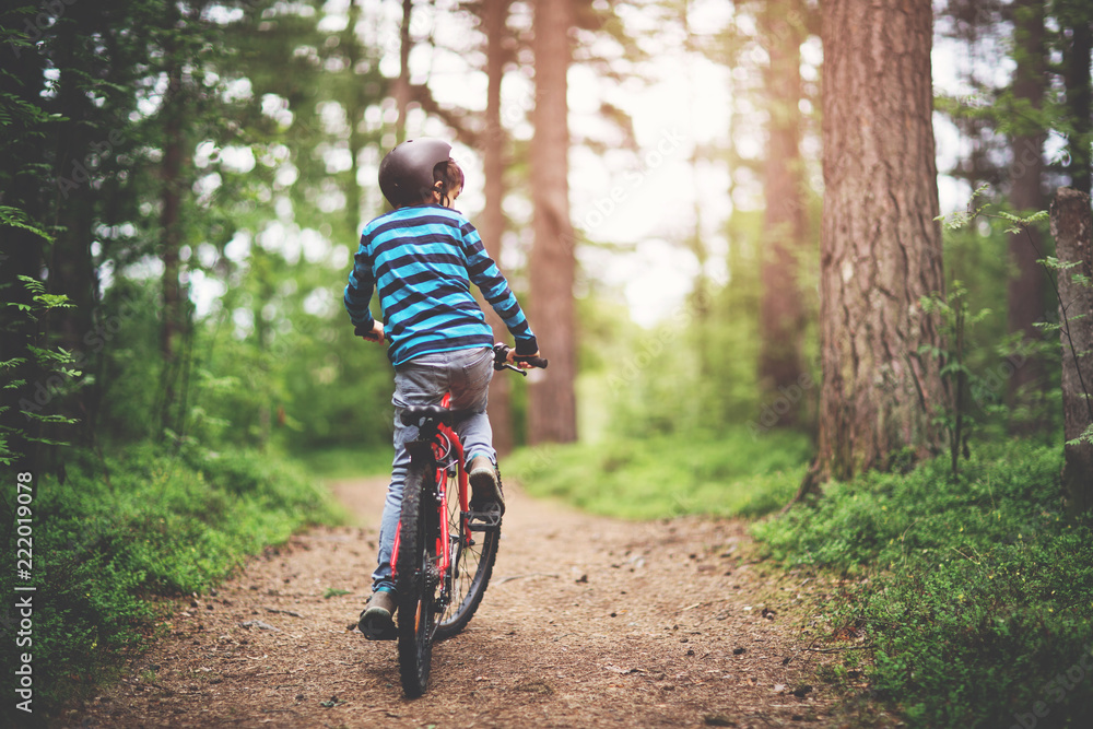 child on a bicycle in the forest in early morning. Boy cycling outdoors in helmet