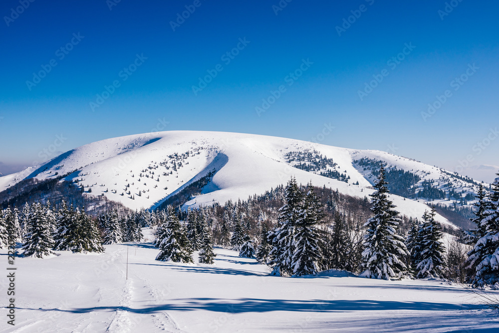 斯洛伐克Velka fatra Ploska被雪覆盖的山脉的冬季景色。冬季山脉景观