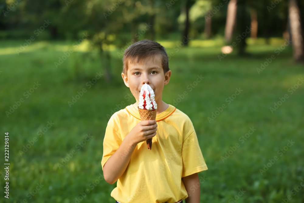 可爱的小男孩夏天在公园里吃冰淇淋