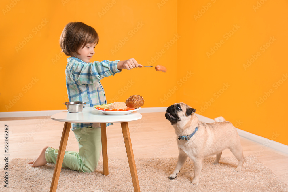 Little boy feeding cute pug dog with sausage at home