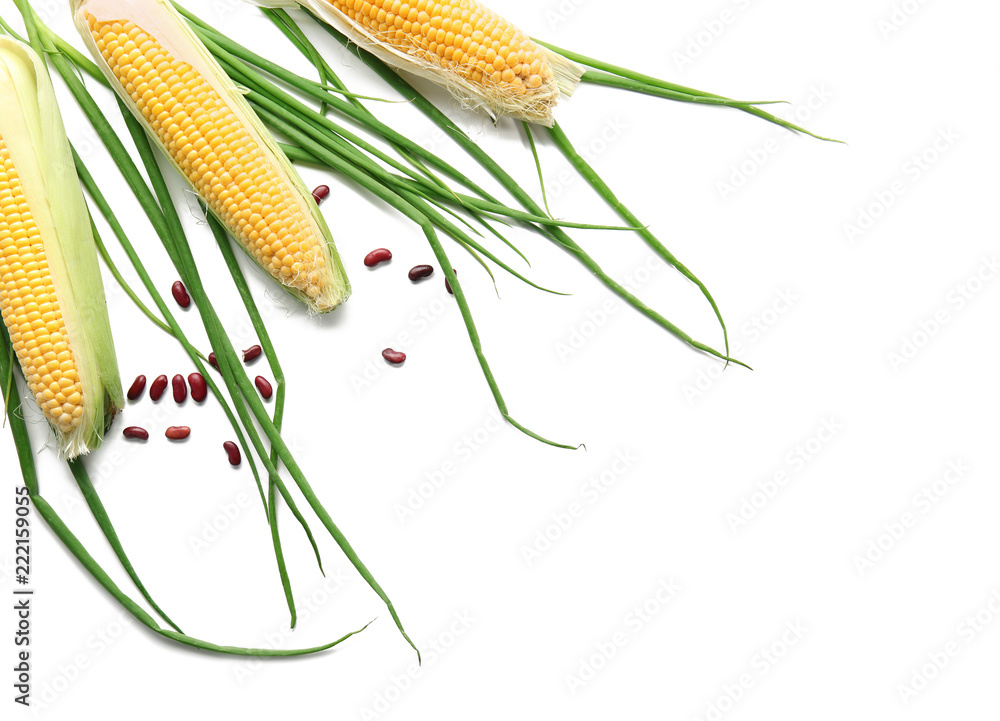 Composition with fresh corn cobs, green onion and beans on white background