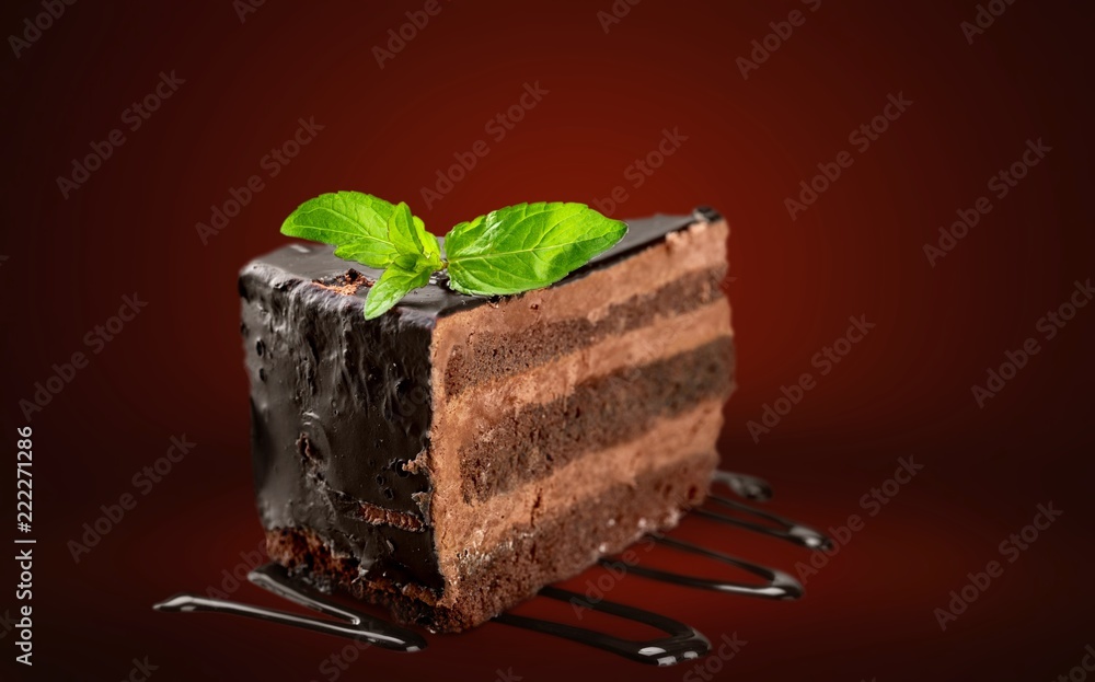 Slice of chocolate cake with mint