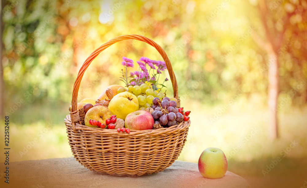 Autumn fruit, seasonal organic fruit in wicker basket