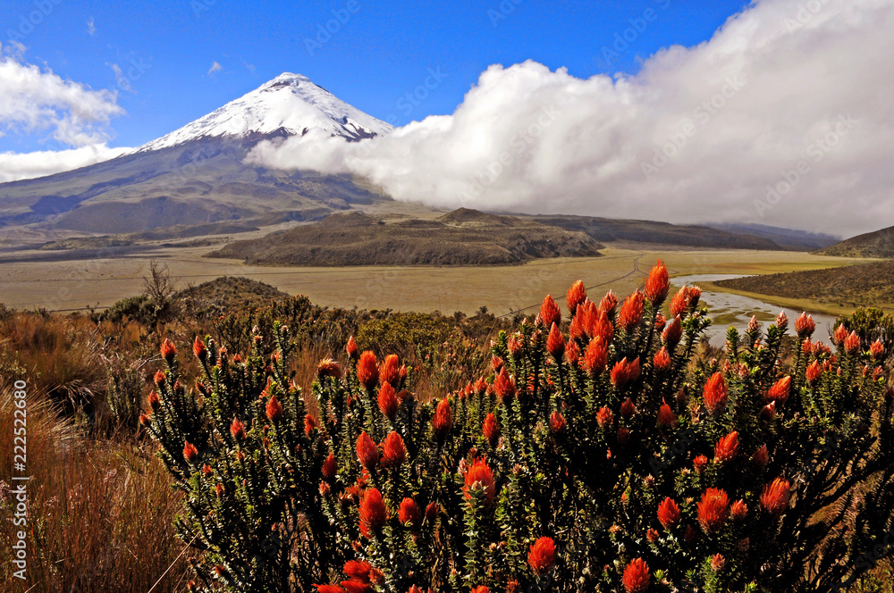 Chuquirahuas y volcán Cotopaxi, Ecuador