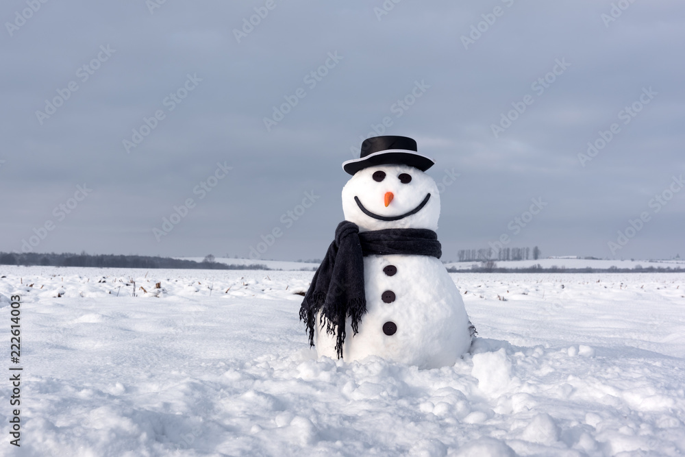 雪地上戴着时髦帽子和黑色鳞片的有趣雪人。圣诞快乐，新年快乐！