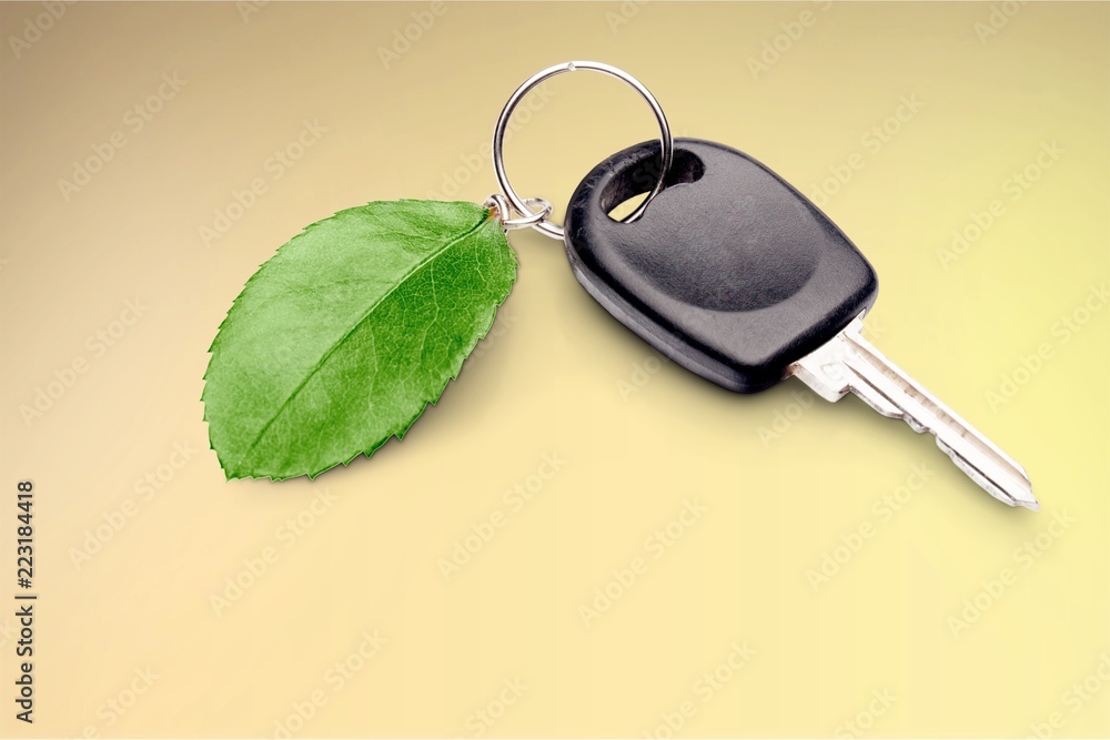 Car key with green leaf