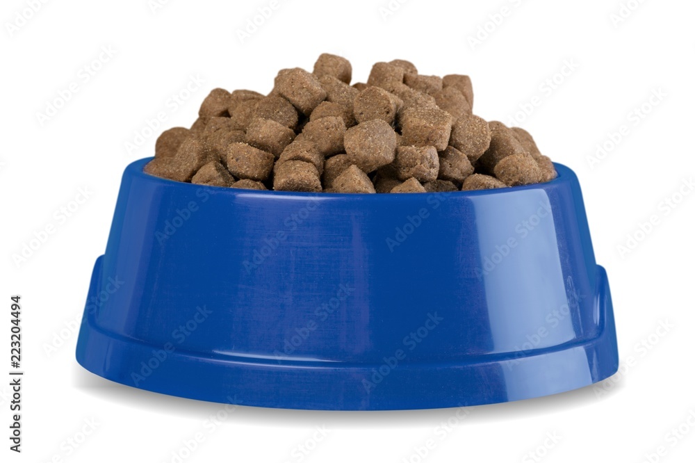 Dog food in bowl on white background