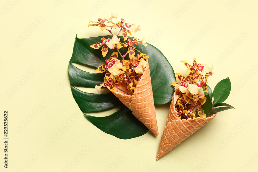 Wafer cones with beautiful orchid flowers and tropical leaf on color background