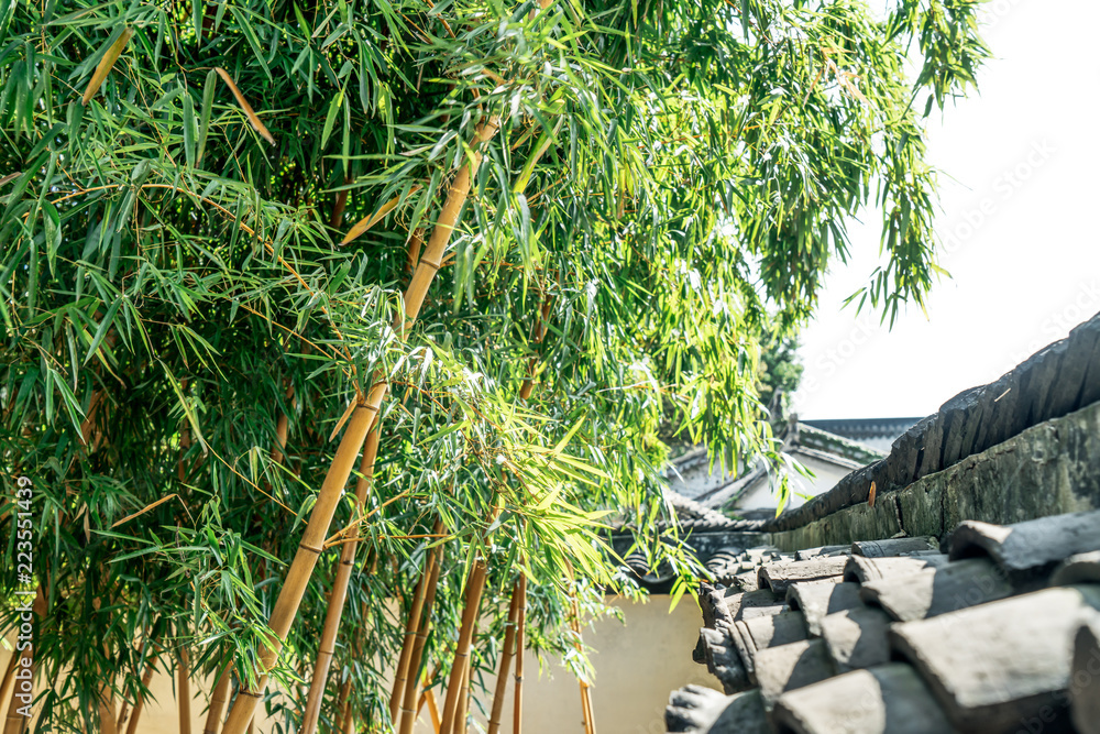 Suzhou garden, traditional architecture