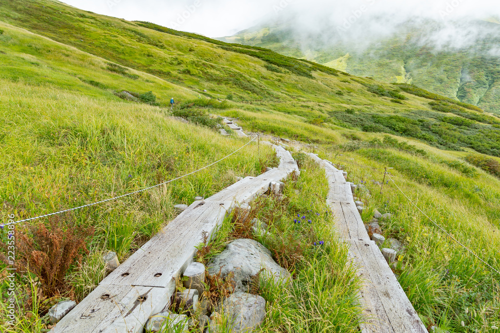 緑の山と登山道