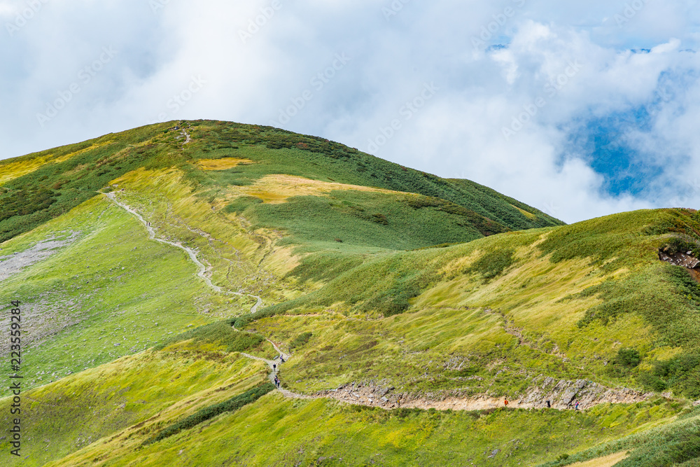 緑の山と登山道