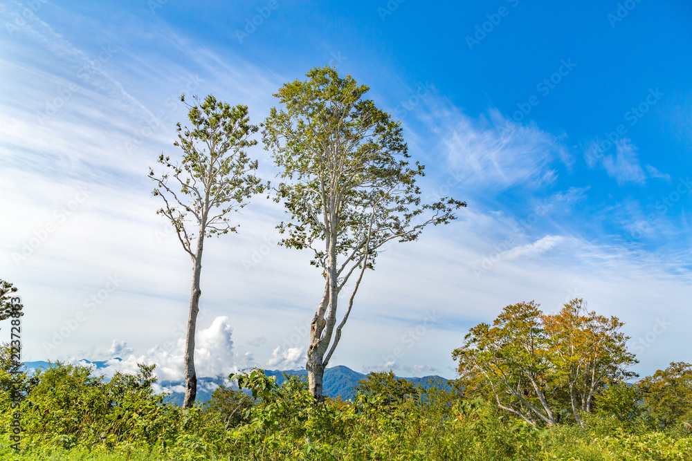 青空と初秋の山　月山