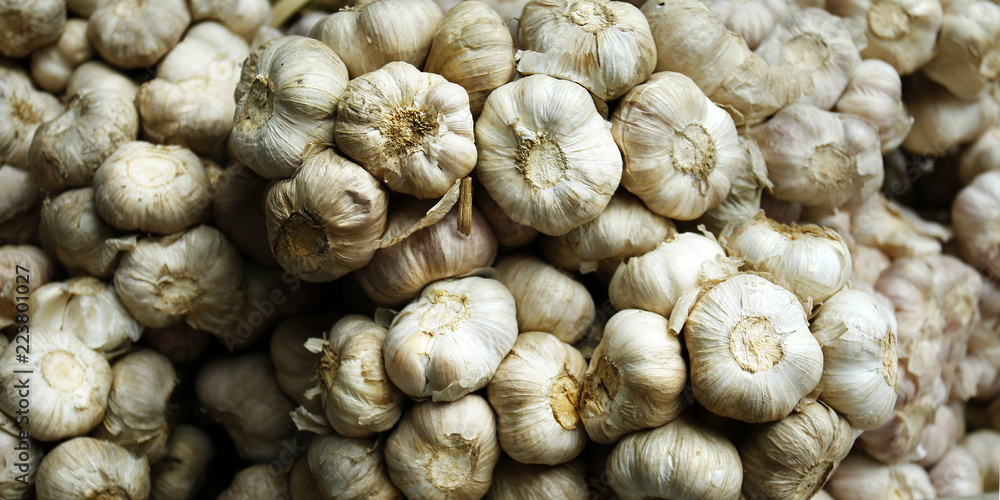 clove of garlic sold in market