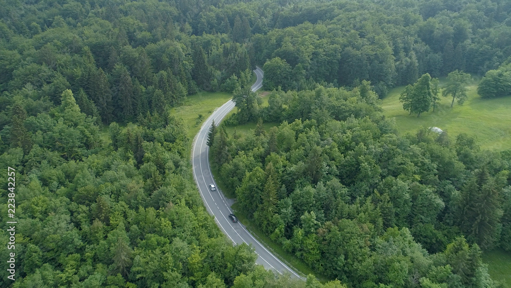 空中飞行：在蜿蜒穿过深绿色森林的道路上行驶的汽车上方飞行。