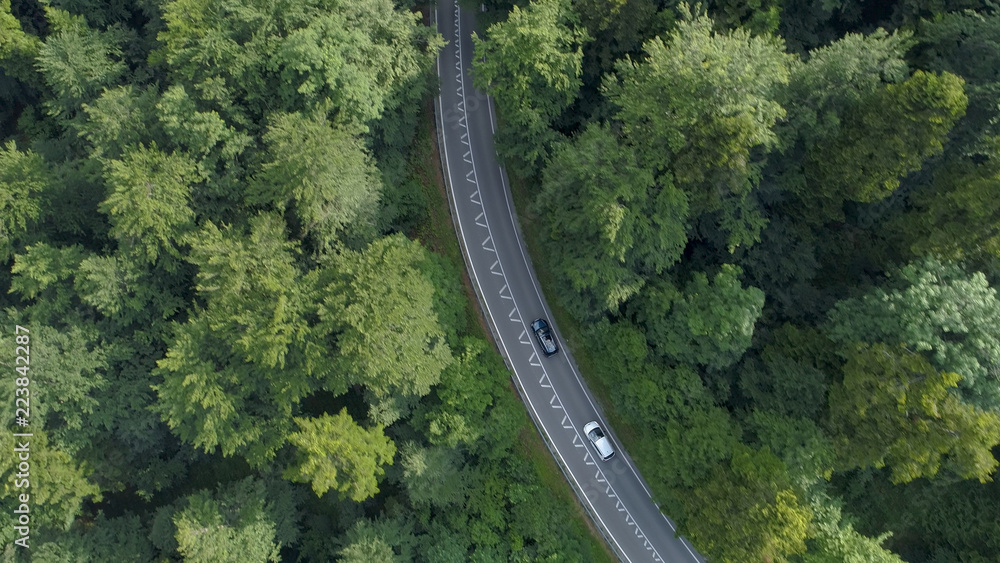 空中交通：白色汽车尾随深色汽车，沿着穿过森林的空路行驶。