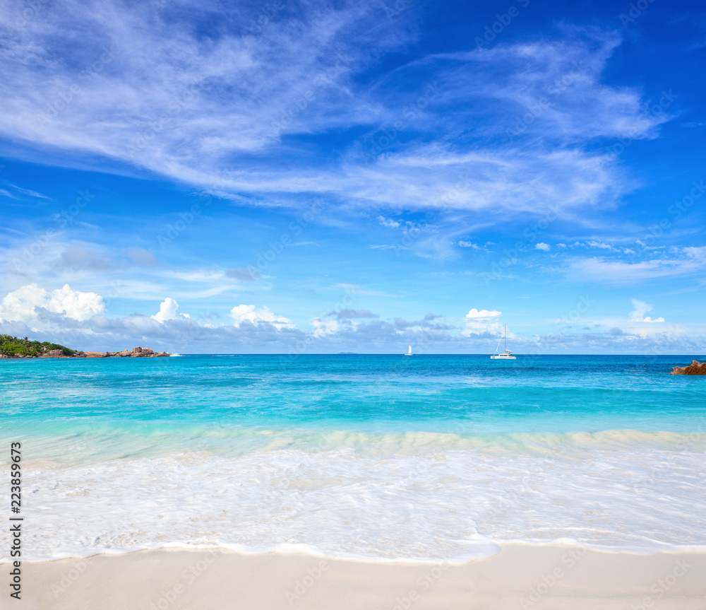 海滩上有白色沙滩，海水呈绿松石色的风景海景。田园热带海滩