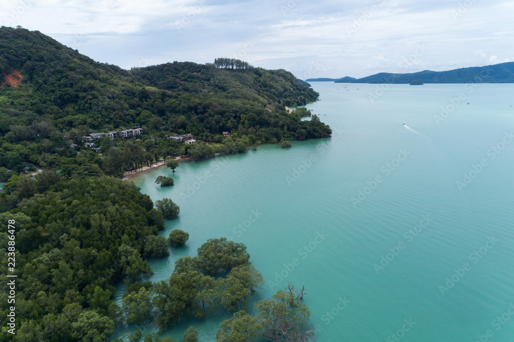 Tropical sea with mangrove trees in the sea,drone shot.