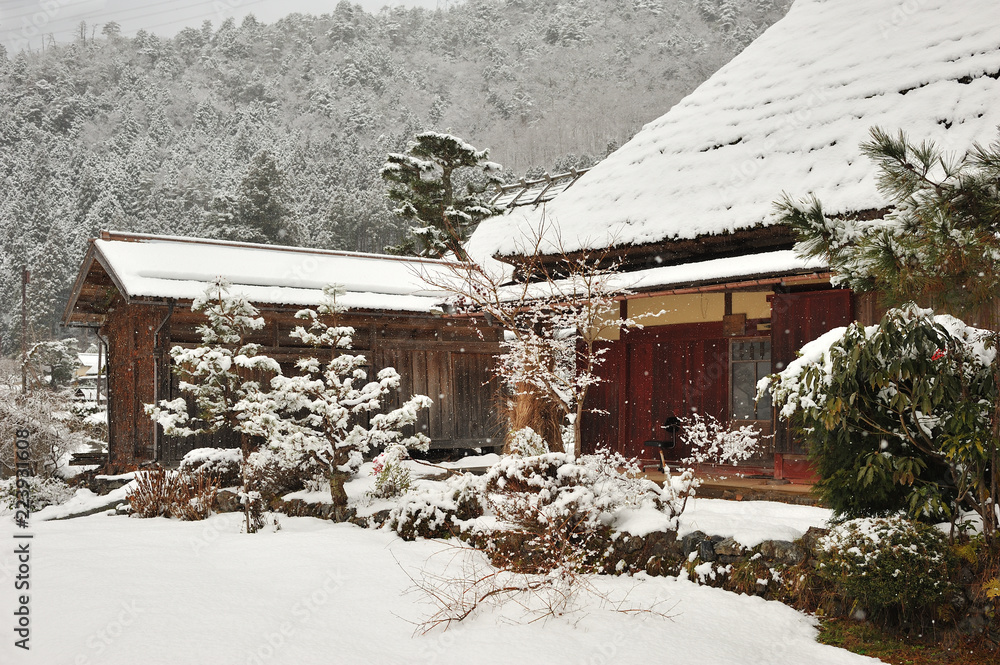 茅葺き屋根の古民家と雪