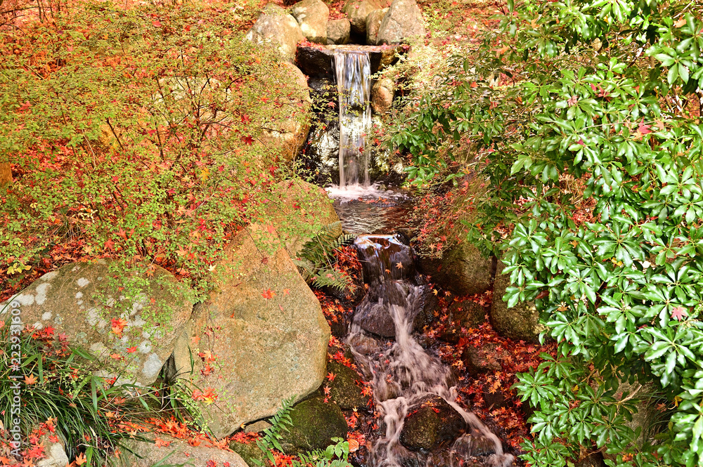 庭園の滝と紅葉