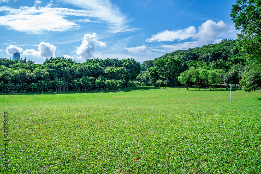 深圳莲花山公园草坪