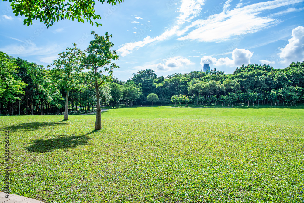 深圳莲花山公园草坪