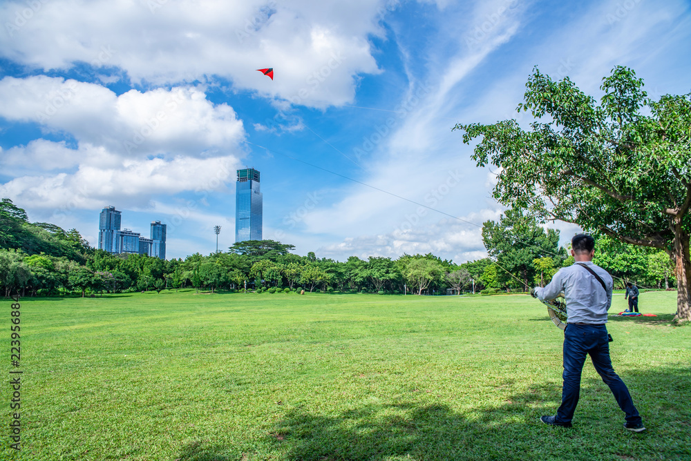 Flying kites in the kite square of Lianhuashan Park, Shenzhen