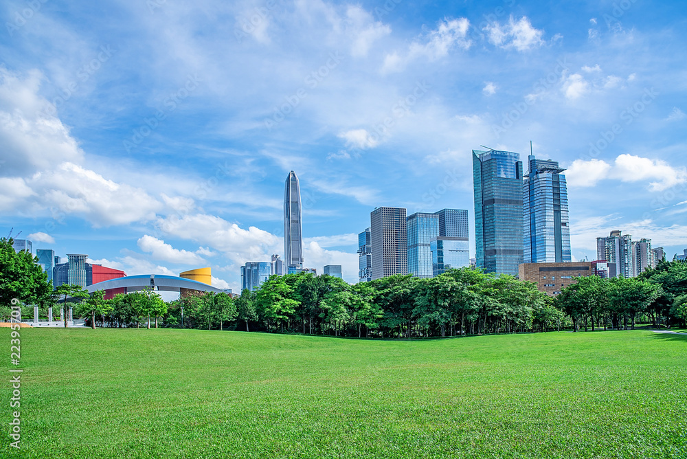 Shenzhen city skyline