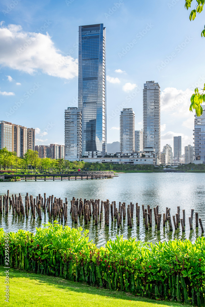 深圳湾人才园风景