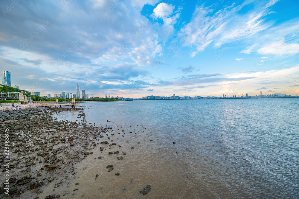 深圳湾公园海滩风光