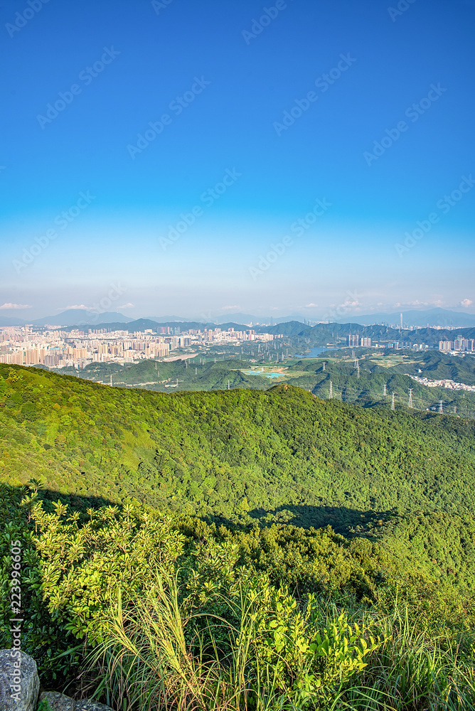 深圳羊台山森林公园风光