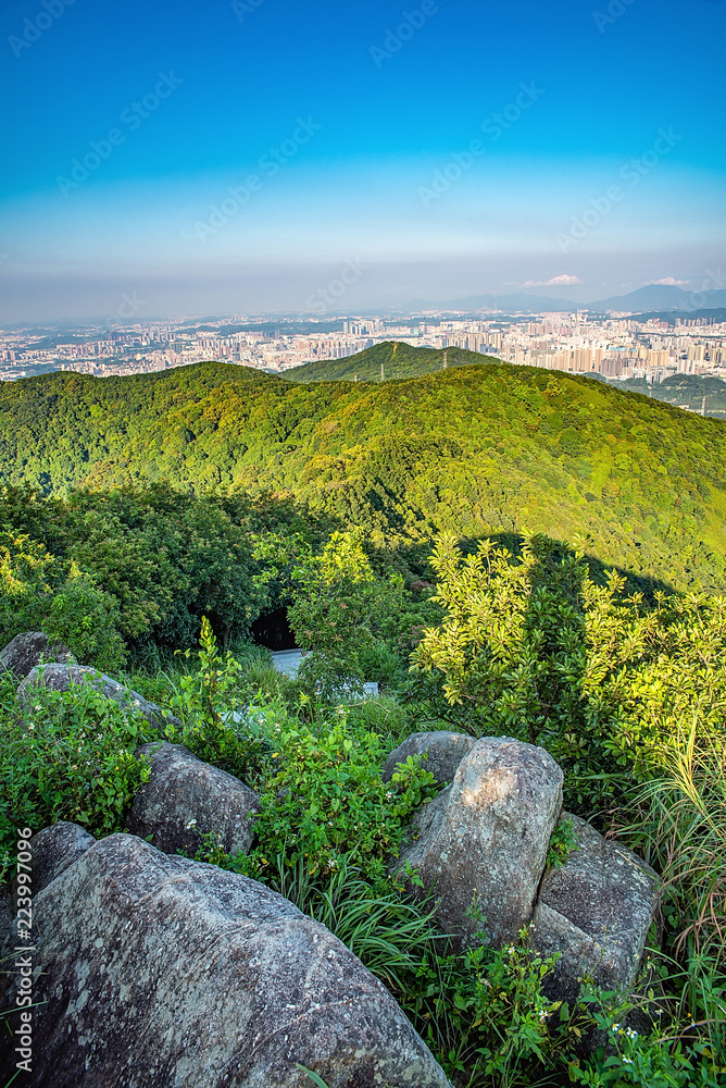 深圳羊台山森林公园风光